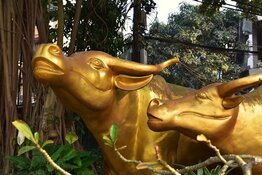 Mineros Delivers Strategic Gold Reserve Policy in Colombia Operations
