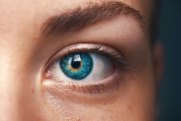 Wet AMD Drug Secures First FDA-Approved Bevacizumab Status