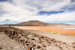 Bolivia Silver Miner Acquires 500 tpd Mill to Expand Output