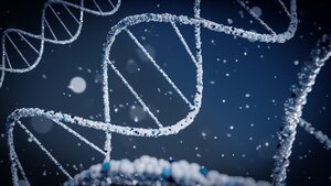 Asceniv Growth, Margin Expansion, and Pipeline Optionality Drive Price Target