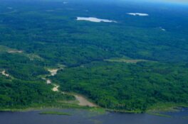 Gold Explorer Uncovers High-Grade Zones in Quebec