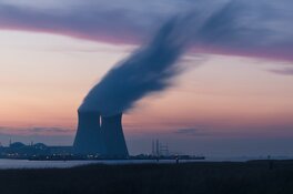 How to Profit in the Nuclear Renaissance