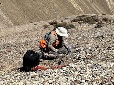 Gelum Resources in the Heart of Nuevo Cobre District as JV Advances Porphyry Targets
