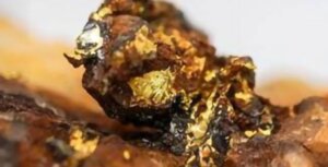 This British Columbia Gold Discovery Just Got Bigger, With 55 More Drill Results Still to Come