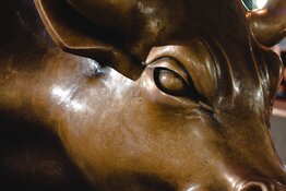 Junior Stock Investing: Managing Risks & Seeking Reward