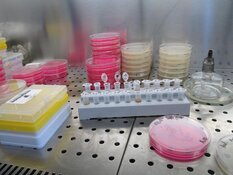 Biotech Firm Uncovers Long-Term Cancer Breakthrough in Nevada
