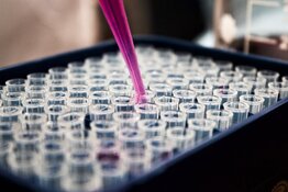 US-Listed Rare Disease Biotech Hit With Full Clinical Hold; Data Unblinding Ahead