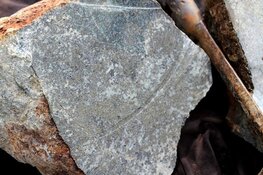 Mining Co. Samples Bonanza Gold-Silver Claims, Dual Fronts Active with Bonaparte Drilling