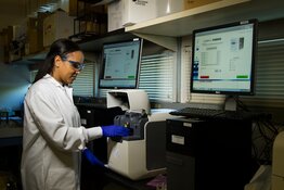 Rakovina Therapeutics Shifts 72% of Budget to AI Cancer Programs