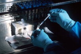 GMP Production of Exosomes Slated for Later This Year