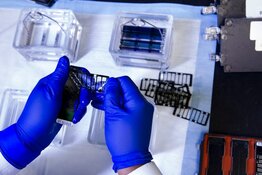 Share Price Appreciation of Biotech Due Over Next Six Months
