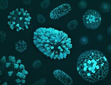 Traws Pharma Positions Long-Acting Antivirals for Influenza and Outbreak Threats as Sector Opportunities Expand