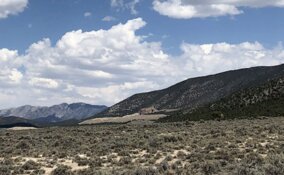 Junior Miner Discovers Massive Gold-Antimony Zones in Nevada