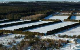 Junior Miner Strikes Bonanza Gold in Nova Scotia