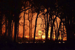 Adamera Pauses IP Survey Amid Wildfires to Focus on Safety, Will Move to Data Interpretation