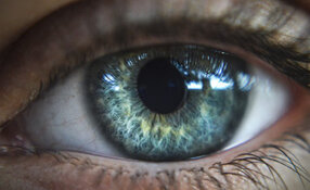 FDA Approves First Ophthalmic Treatment for Wet AMD, Leading Wainwright to Triple Price Target