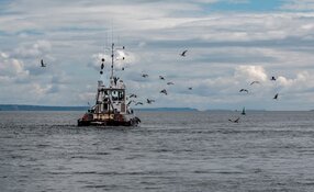 Offshore Gold Dredger Starts CSE Trading Targeting Ghana Shelf