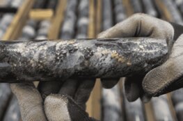 Gold Mine Delivers Bonanza-Grade Hits as Unmined Zone Continues to Expand
