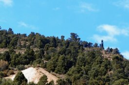 Star Gold Finalizes 11-Hole Longstreet Drill Campaign