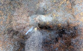 Sranan Gold's Q4 Catalyst Preview: Lawatino Drill Mobilization and Tapanahony Assays Ahead