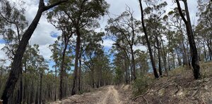 Gold Explorer Advancing Historic Australian Project Launches Trading on TSX-V